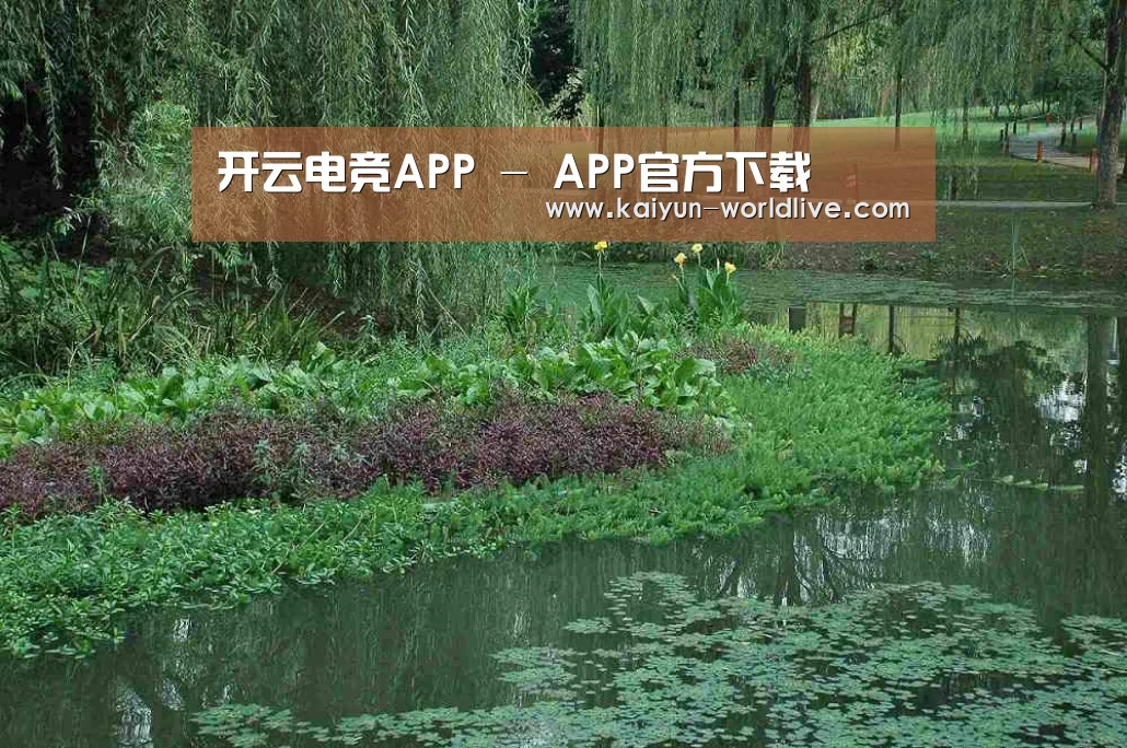 案例展示一(图1)