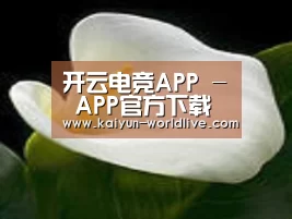 产品名称七