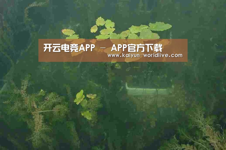 案例展示三
