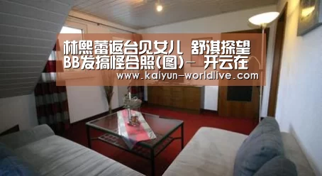  开云APP下载