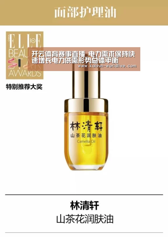 开云体育赛事直播_电力需求保持快速增长电力供需形势总体平衡(图3) 开云电竞APP