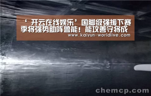‘ 开云在线娱乐’国脚级强援下赛季将强势助阵鲁能!能攻善守将成球队第一领袖!(图3) 开云体育赛事直播