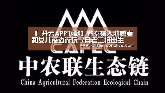  开云APP下载