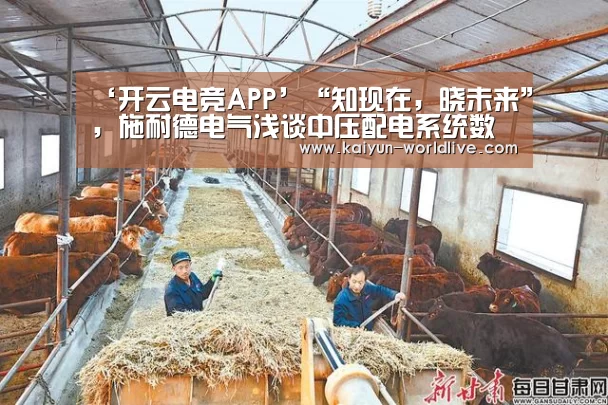 ‘开云电竞APP’“知现在,晓未来”,施耐德电气浅谈中压配电系统数字化(图1) 开云在线娱乐