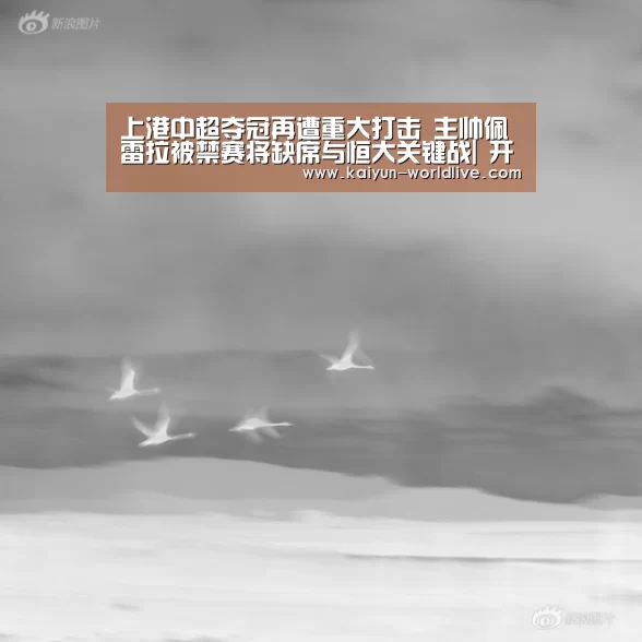  开云体育赛事直播