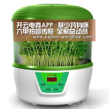  开云APP下载