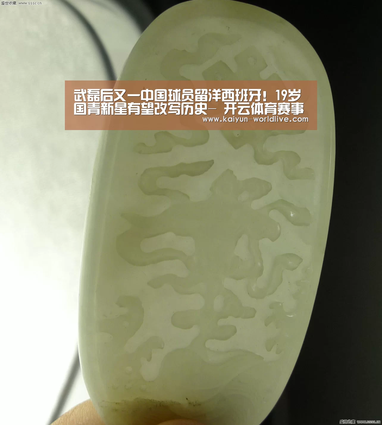 开云电竞APP