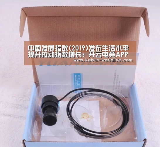 中国发展指数(2019)发布生活水平提升拉动指数增长:开云电竞APP(图2) 开云电竞APP