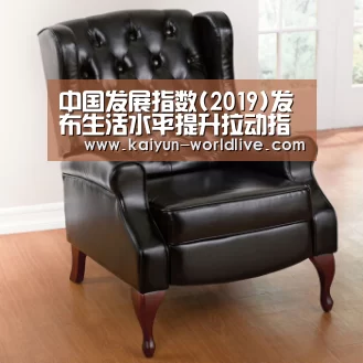 中国发展指数(2019)发布生活水平提升拉动指数增长:开云电竞APP(图1) 开云体育赛事直播