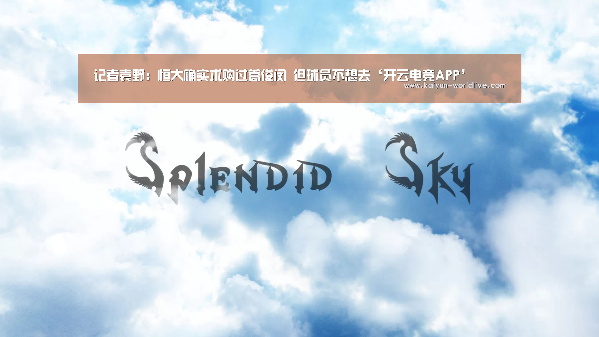  开云APP下载