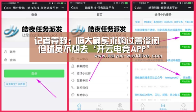  开云APP下载