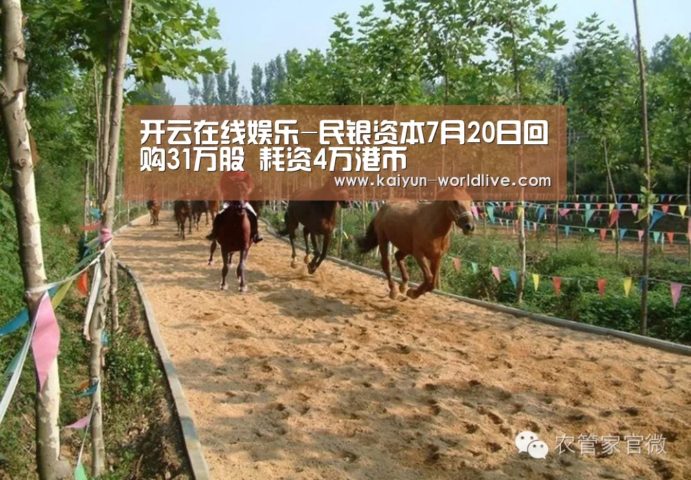  开云在线娱乐