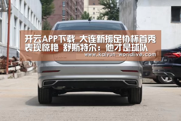  开云APP下载